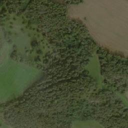 Satellite imagery of [Milešov nad Vltavou] church t., CZ