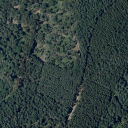 Satellite imagery of Kleiner Meisenberg, DE