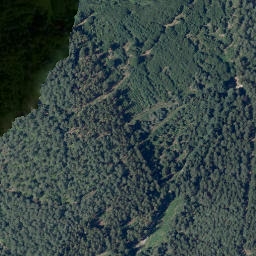 Satellite imagery of Mittelberg, DE