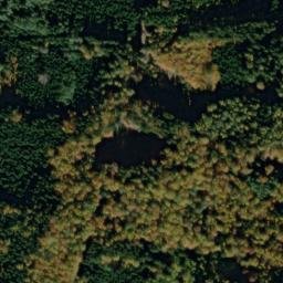 Satellite imagery of Bukovina [Bělá nad Radbuzou-Železná u Smolova], CZ