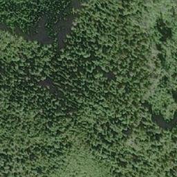 Satellite imagery of Mount Adair, CA
