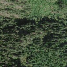 Satellite imagery of Mount Ginger Goodwin, CA