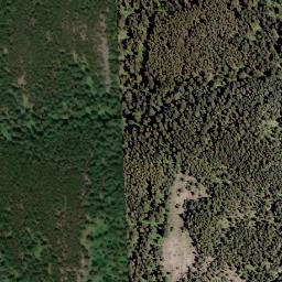 Satellite imagery of Tallon Peak, CA