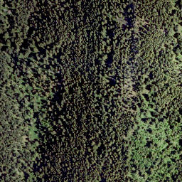 Satellite imagery of Tallon Peak, CA