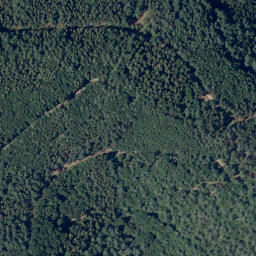 Satellite imagery of Mittelberg, DE