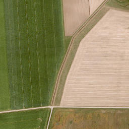 Satellite imagery of Tannenbuck, DE