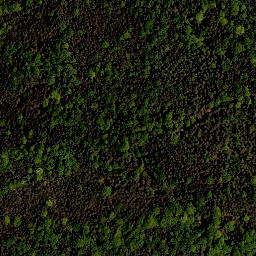 Satellite imagery of Große Höhe, DE