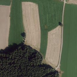 Satellite imagery of Mühlberg, DE