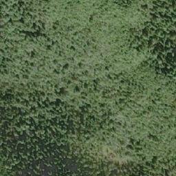 Satellite imagery of Mount Adair, CA