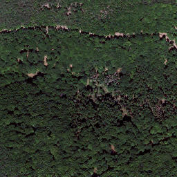 Satellite imagery of Königsberg, DE