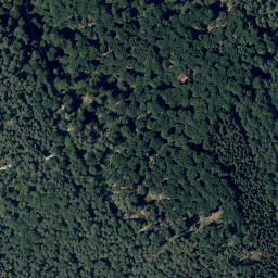 Satellite imagery of Meisenberg, DE