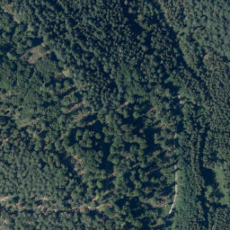Satellite imagery of Mittelberg, DE