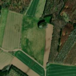 Satellite imagery of Bornberg, DE