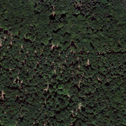 Satellite imagery of Königsberg, DE