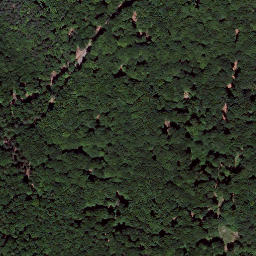 Satellite imagery of Königsberg, DE