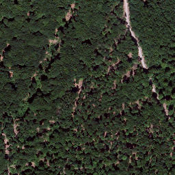 Satellite imagery of Königsberg, DE