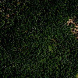 Satellite imagery of Kühnberg, DE