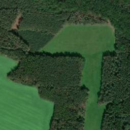 Satellite imagery of Hora [Staňkov-město], CZ