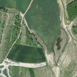 Satelita