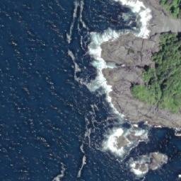 Satellite imagery of Burdwood Point, CA
