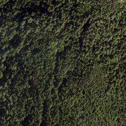 Satellite imagery of Mount Richardson, CA