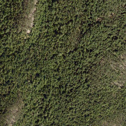 Satellite imagery of Mount Richardson, CA