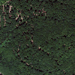 Satellite imagery of Königsberg, DE