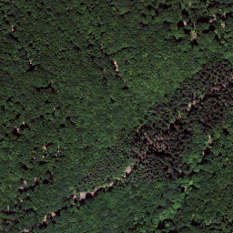 Satellite imagery of Königsberg, DE