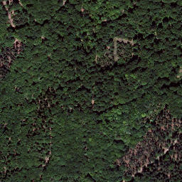 Satellite imagery of Königsberg, DE