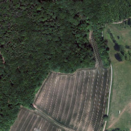 Satellite imagery of Rothenbühl, DE
