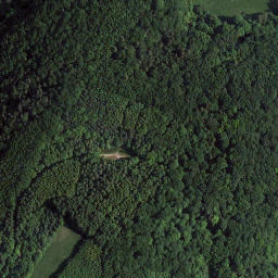 Satellite imagery of Rothenbühl, DE