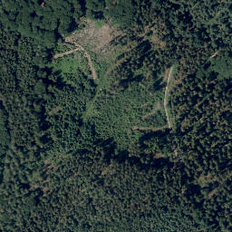Satellite imagery of Taubenberg, DE