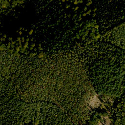 Satellite imagery of Hohberg, DE