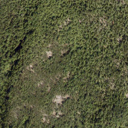 Satellite imagery of Mount Richardson, CA