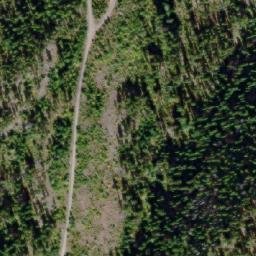 Satellite imagery of Mount Riddell, CA