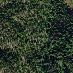 Satellite imagery of Mount Riddell, CA