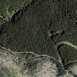 Satellite imagery of Willoughby Ridge, CA