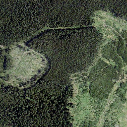 Satellite imagery of Willoughby Ridge, CA
