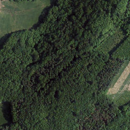 Satellite imagery of Rothenbühl, DE