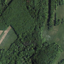 Satellite imagery of Rothenbühl, DE