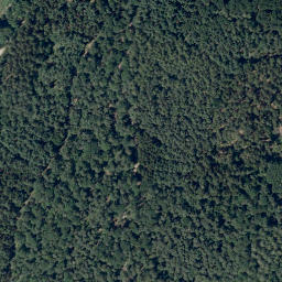 Satellite imagery of Taubenberg, DE