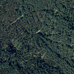 Satellite imagery of Taubenberg, DE