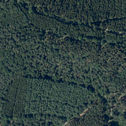 Satellite imagery of Kohlebuckel, DE