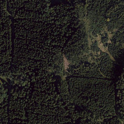 Satellite imagery of Studánka [Bělá nad Radbuzou-Železná], CZ