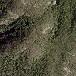 Satellite imagery of Mount Richardson, CA