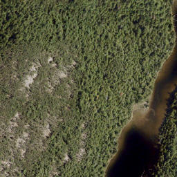 Satellite imagery of Mount Richardson, CA