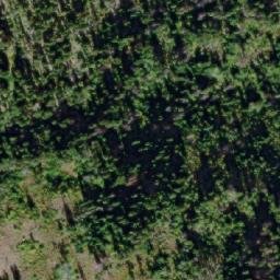 Satellite imagery of Mount Riddell, CA
