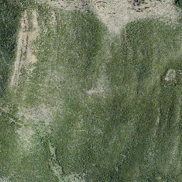Satellite imagery of Willoughby Ridge, CA
