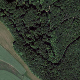 Satellite imagery of Bornberg, DE