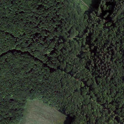 Satellite imagery of Bornberg, DE